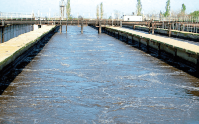 Next-Generation Aeration Systems: Boosting Efficiency and Reducing Energy Costs